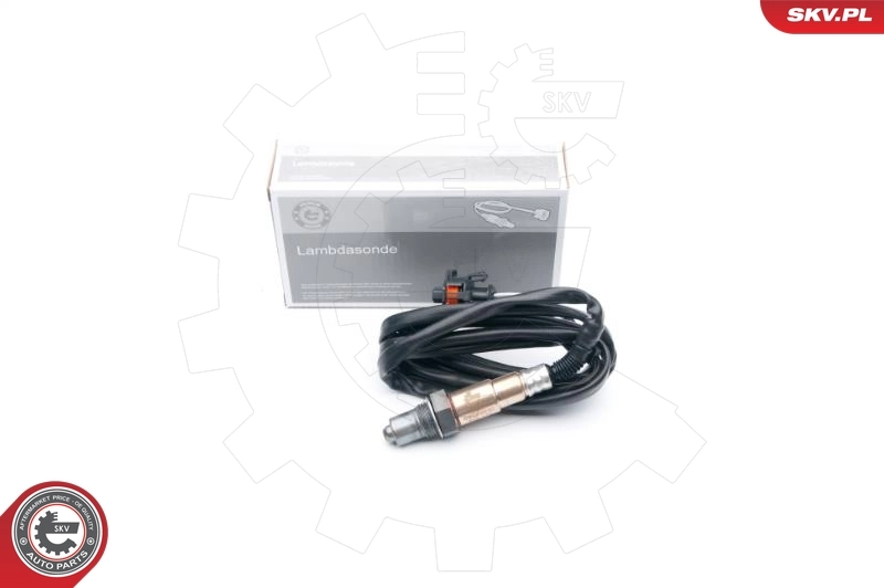 Oxygen Sensor